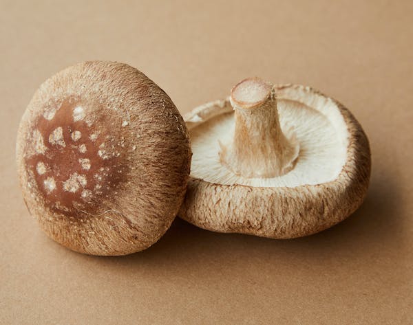 Mushroom Supplements: Your Ticket to Optimal Health and Wellness